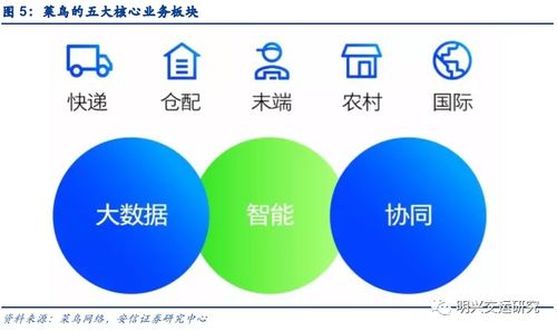菜鳥網(wǎng)絡(luò) 不止是快遞，更是企業(yè)網(wǎng)絡(luò)技術(shù)服務(wù)的領(lǐng)航者